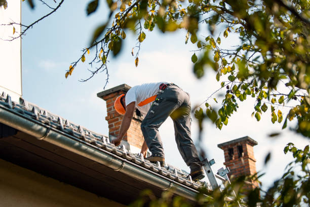 Best Roof Leak Repair  in Tomah, WI
