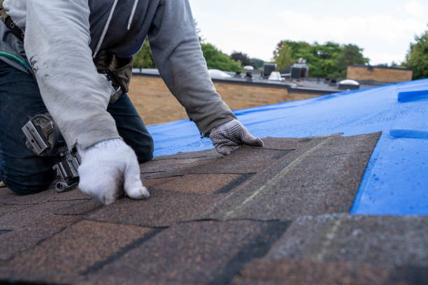 Best Storm Damage Roof Repair  in Tomah, WI