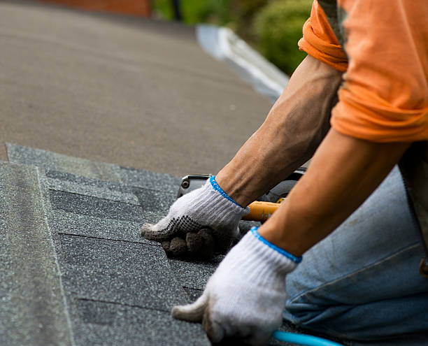Best Roof Gutter Cleaning  in Tomah, WI